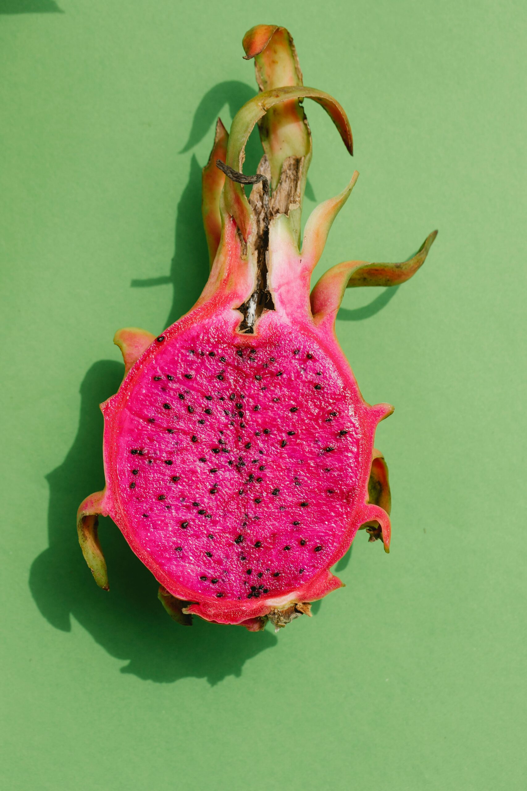 Dragonfruit